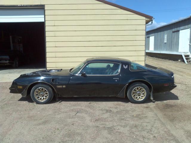 1977 PONTIAC FIREBIRD for sale