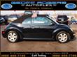 2003 Volkswagen New Beetle