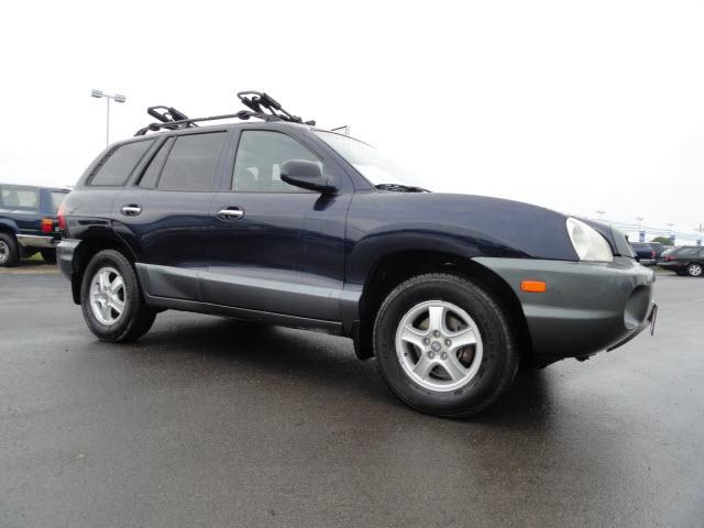 2004 Hyundai Santa Fe for sale
