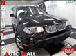 2009 BMW X3