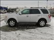 2011 Ford Escape