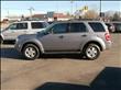 2008 Ford Escape