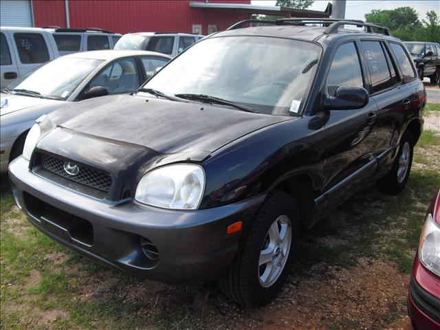 2004 Hyundai Santa Fe for sale