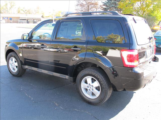 2010 Ford Escape