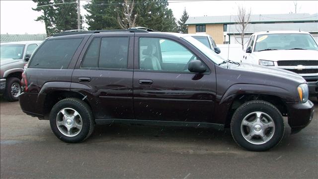 2008 Chevrolet TrailBlazer for sale