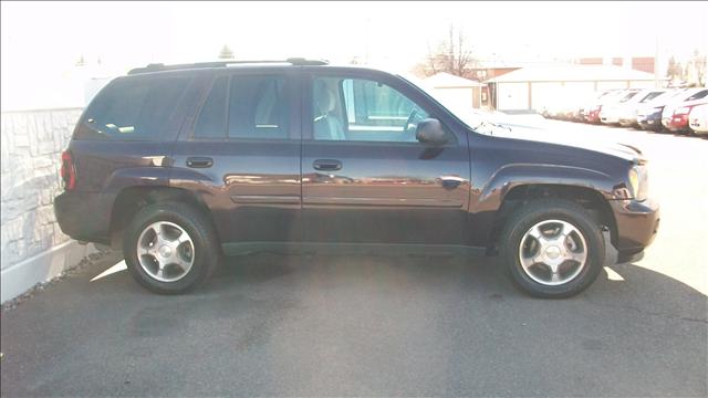 2008 Chevrolet TrailBlazer for sale