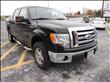 2010 Ford F150