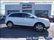 2009 Lincoln MKX