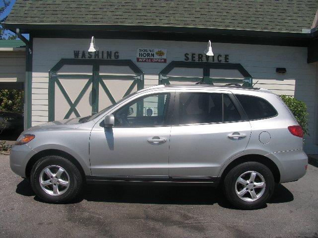2007 Hyundai Santa Fe for sale