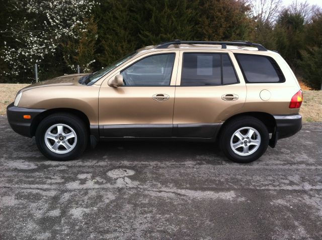 2002 Hyundai Santa Fe