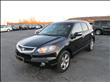 2008 Acura RDX