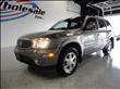 2006 Buick Rainier