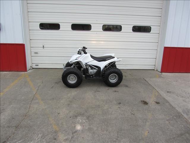 2009 Honda TRX 90 for sale