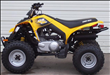 2010 Can Am DS 250