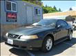 1999 Ford Mustang